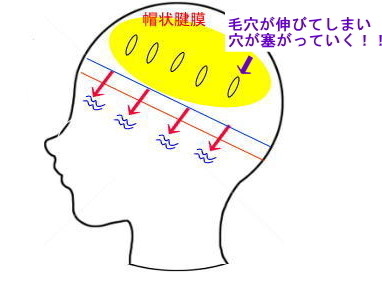 育毛会社に勤めていたからこそ言える薄毛対策の本気の実践 Belog Chez Vous 前田 敏伸 マエダ トシノブ ビューティーナビ